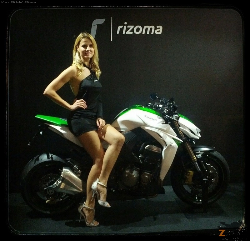 Kawasaki z1000 2014 rizoma edition