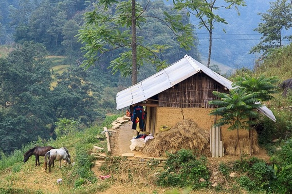 Lên hà giang vượt đèo khó bò qua xín mần