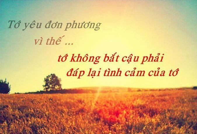 Nếu có thể tôi vẫn sẽ yêu đơn phương