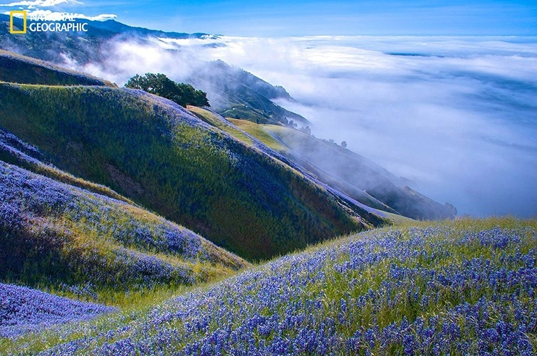 Những bức ảnh tuyệt vời của giải thưởng national geographic