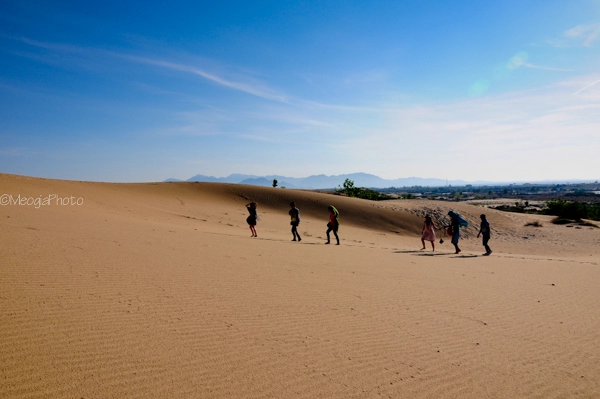 Thăm vườn nho ghé đồi cát của xứ sở phan rang