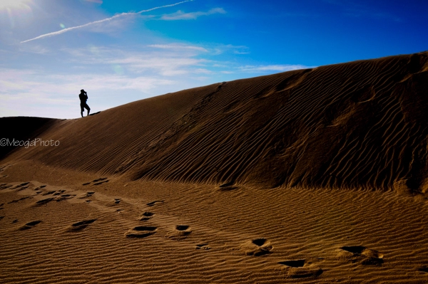 Thăm vườn nho ghé đồi cát của xứ sở phan rang