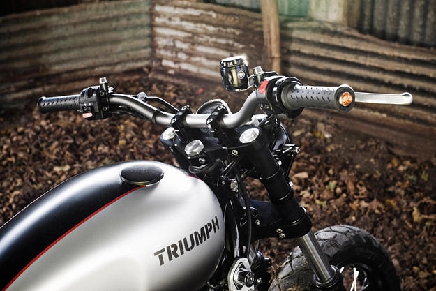 Top những chiếc xe độ triumph scrambler đẹp nhất