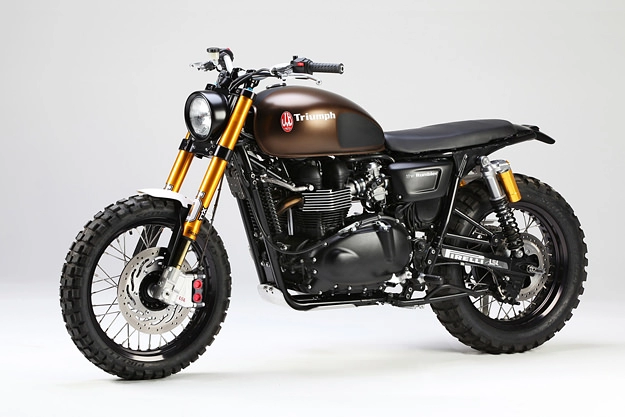 Top những chiếc xe độ triumph scrambler đẹp nhất