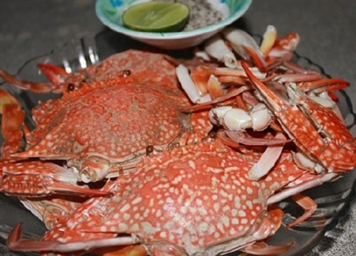 Ngao du miền tây và khám phá ẩm thực