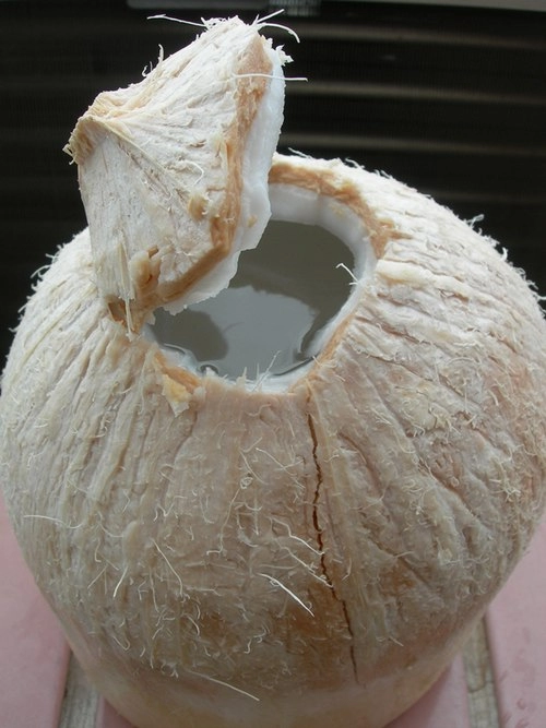 Ngao du miền tây và khám phá ẩm thực
