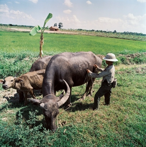 Bộ ảnh miền bắc việt nam trước 1975 sống lại một thời hoa đỏ