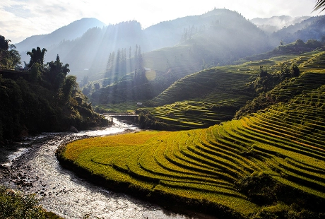 Đẹp ngỡ ngàng tả van mùa lúa chín