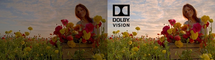 Giới thiệu công nghệ dolby vision