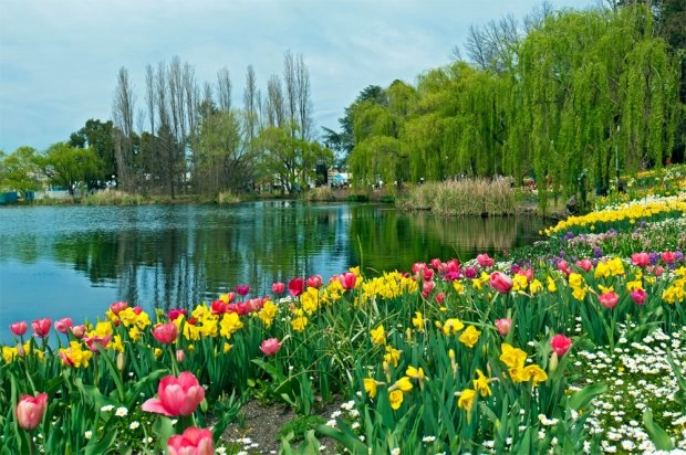 Lễ hội hoa floriade cuộc hẹn mùa xuân nước úc