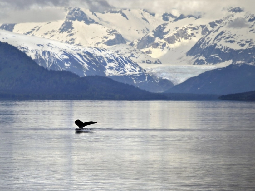 Ngắm cảnh đẹp như tranh vẽ ở alaska mỹ