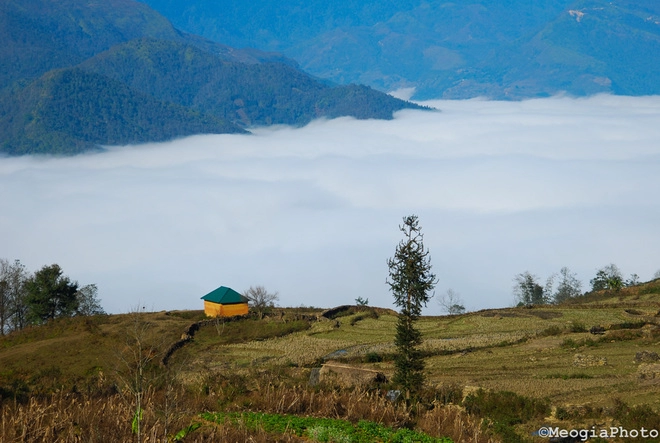 Ngắm thiên đường mây ở y tý khi đông về