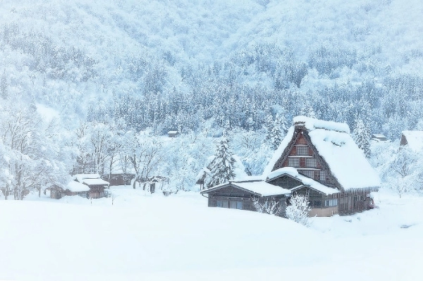 Những ngôi nhà đơn độc giữa tuyết trắng đẹp như tranh vẽ