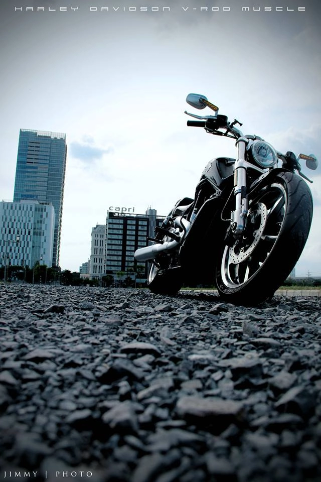 V-rod muscle 2014 - mẫu xe cơ bắp mỹ của harley