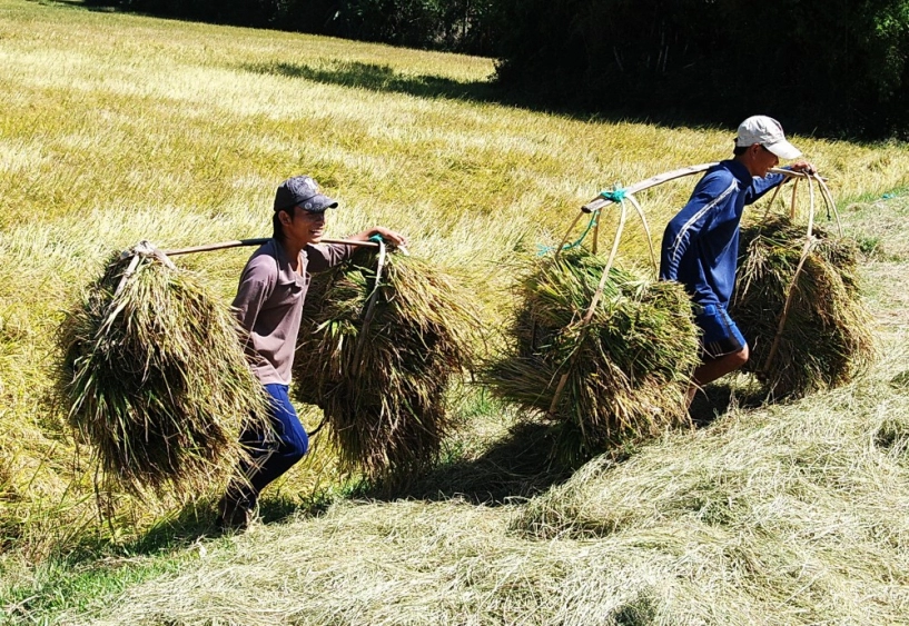 Vẻ đẹp hoang sơ và yên bình của vùng đất phú yên