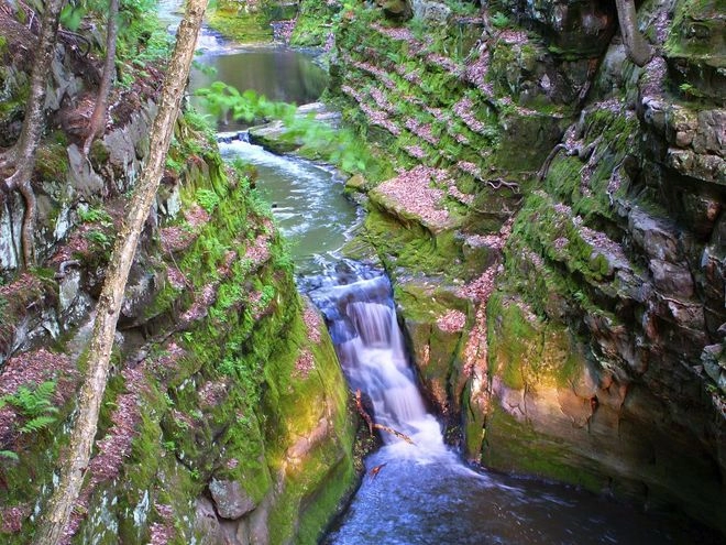 Wisconsin thanh bình và hoang dã