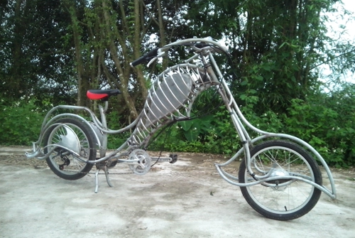 Xe đạp điện tự chế độc nhất vô nhị tại việt nam