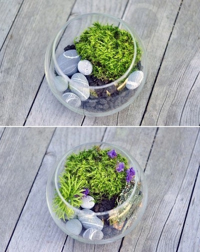 3 cách tự chế vườn mini để bàn đáng yêu