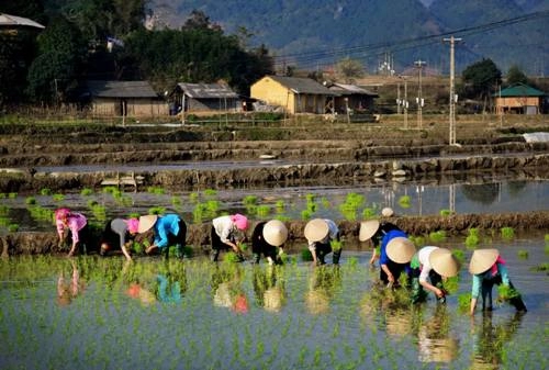 4 điểm đến lý tưởng khi du lịch yên bái ngày xuân