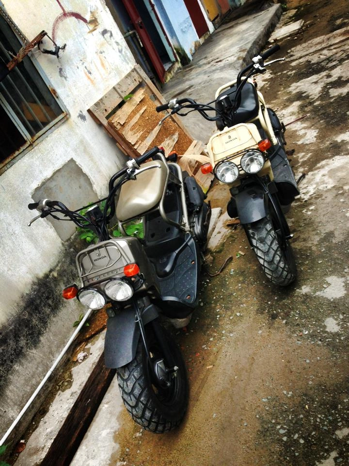 Bộ đôi honda zoomer độc đáo ở sài gòn