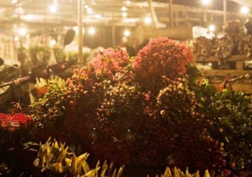 Chợ hoa đêm đất cảng