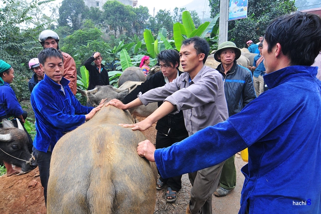 Chợ phiên cốc pài trong những mảng màu nên thơ