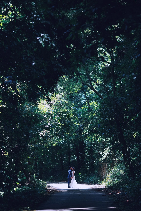 Chuyện tình của cặp đôi có màn chụp ảnh cưới thót tim trong rừng