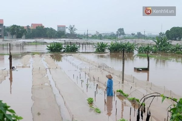 Hà nội thành biển nước vì mưa lớn cả đêm