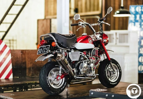 Honda z50 xe nhỏ nhưng chất