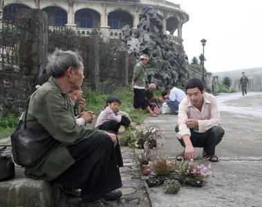 Huyền bí mẫu sơn giữa đại ngàn gió và lâu đài cổ