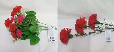 Khéo léo làm chậu hoa cẩm chướng chỉ với 2 cách đơn giản