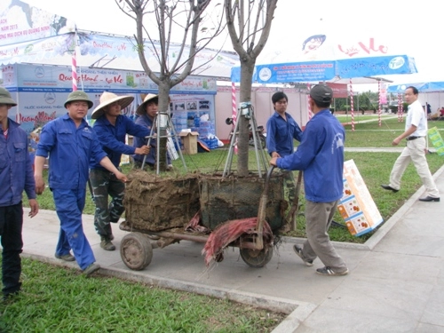 Lễ hội hoa anh đào hạ long