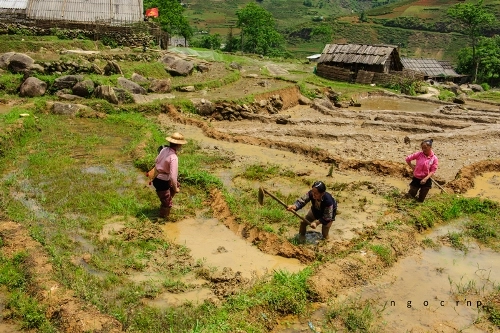 Mùa nước đổ trong lòng thung lũng tả van