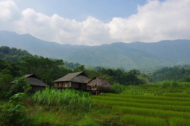 Mùa vàng trên đỉnh pù luông xứ thanh