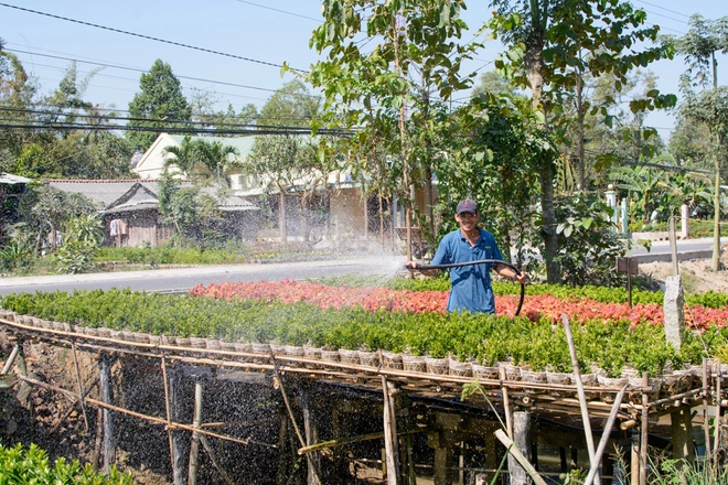 Ngôi làng có bốn mùa xuân ở đồng tháp