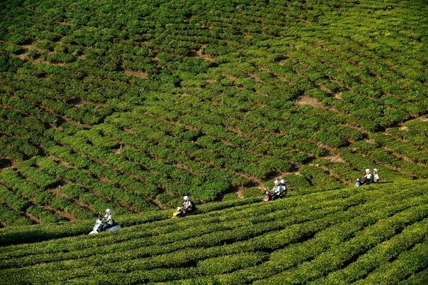 Những địa điểm du lịch chụp hình đẹp ở vn