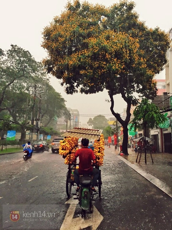 Những hình ảnh nhỏ xinh nhìn là nhớ ngay đến sài gòn