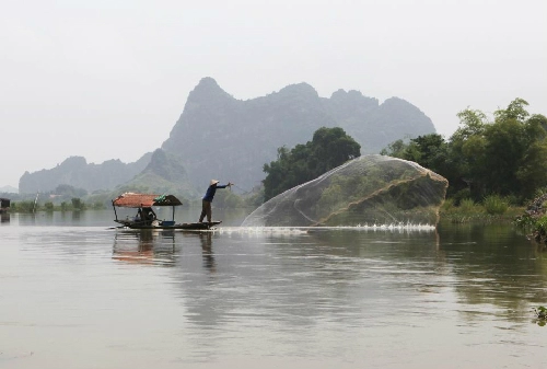 Phượng hoàng đất ở tràng an