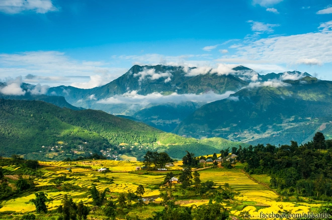 Thu vàng miên man ở y tý lào cai