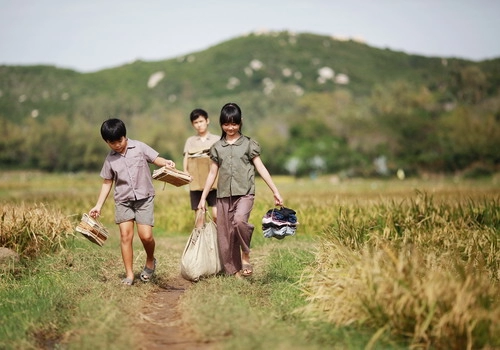 tôi thấy hoa vàng trên cỏ xanh của tác giả nguyễn nhật ánh lên phim