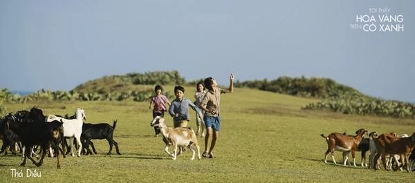 tôi thấy hoa vàng trên cỏ xanh trở về với những trò chơi dân gian