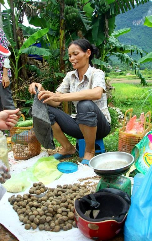 Về thanh hóa đi chợ phiên phố đòn