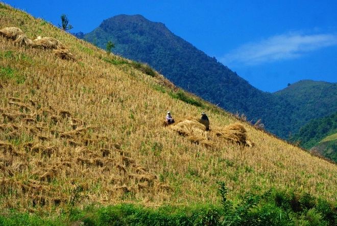 Vùng đất biệt lập chiềng ân chuyển màu lúa chín