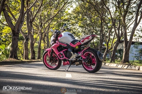 Kawasaki er-6n độ nổi bật với phiên bản pinky biggiz catz