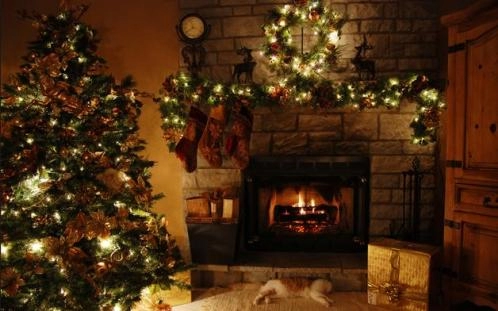 Bí mật về nguồn gốc của cây thông noel