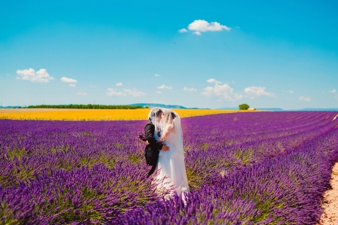 Cánh đồng oải hương trong bộ ảnh cưới của cặp đôi việt