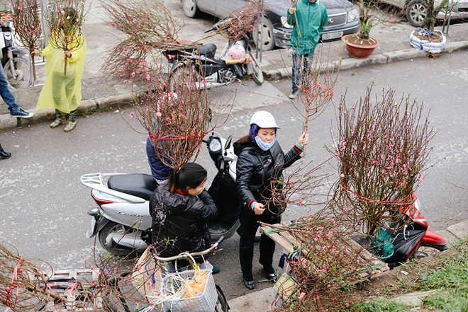 Chợ hoa quảng bá ngày cận tết