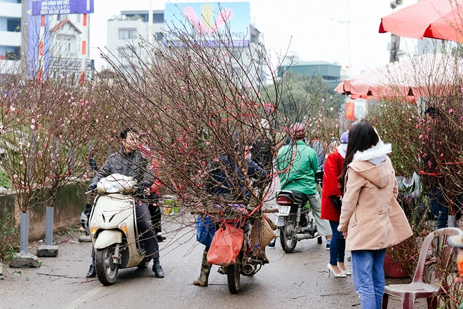 Chợ hoa quảng bá ngày cận tết