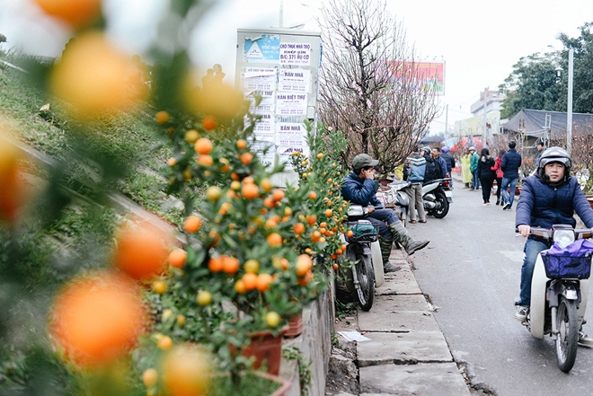 Chợ hoa quảng bá ngày cận tết