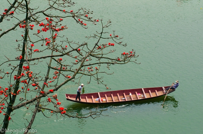 Chùa hương mùa hoa gạo